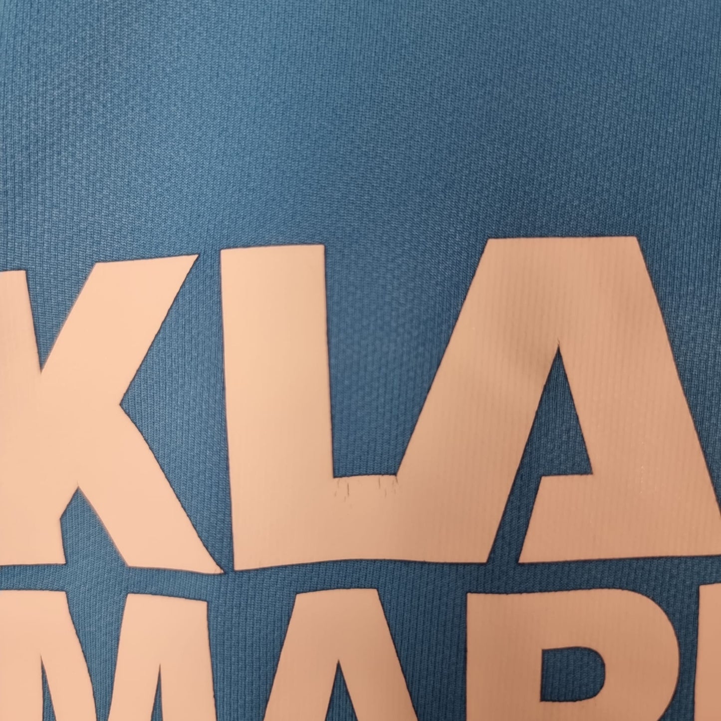 Trainingstrikot - Karlsruher SC - 2016/2017 - L - Player Issue