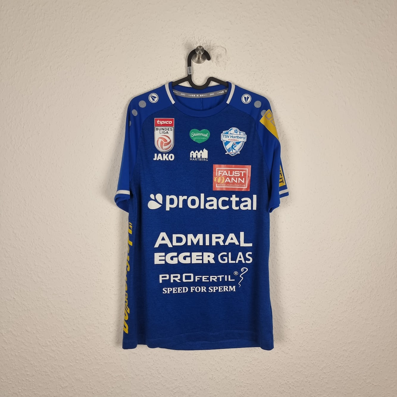 Trikot - TSV Hartberg - Andreas Lienhart - 2019/2020 - M - Heim - matchworn