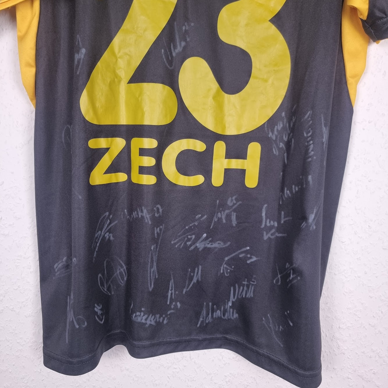 Trikot - SCR Altach - Benedikt Zech - 2019/2020 - M - Heim - matchworn