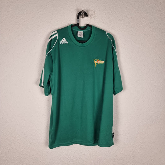 Trikot - Lechia Gdańsk - 2010/2011 - L - Heim