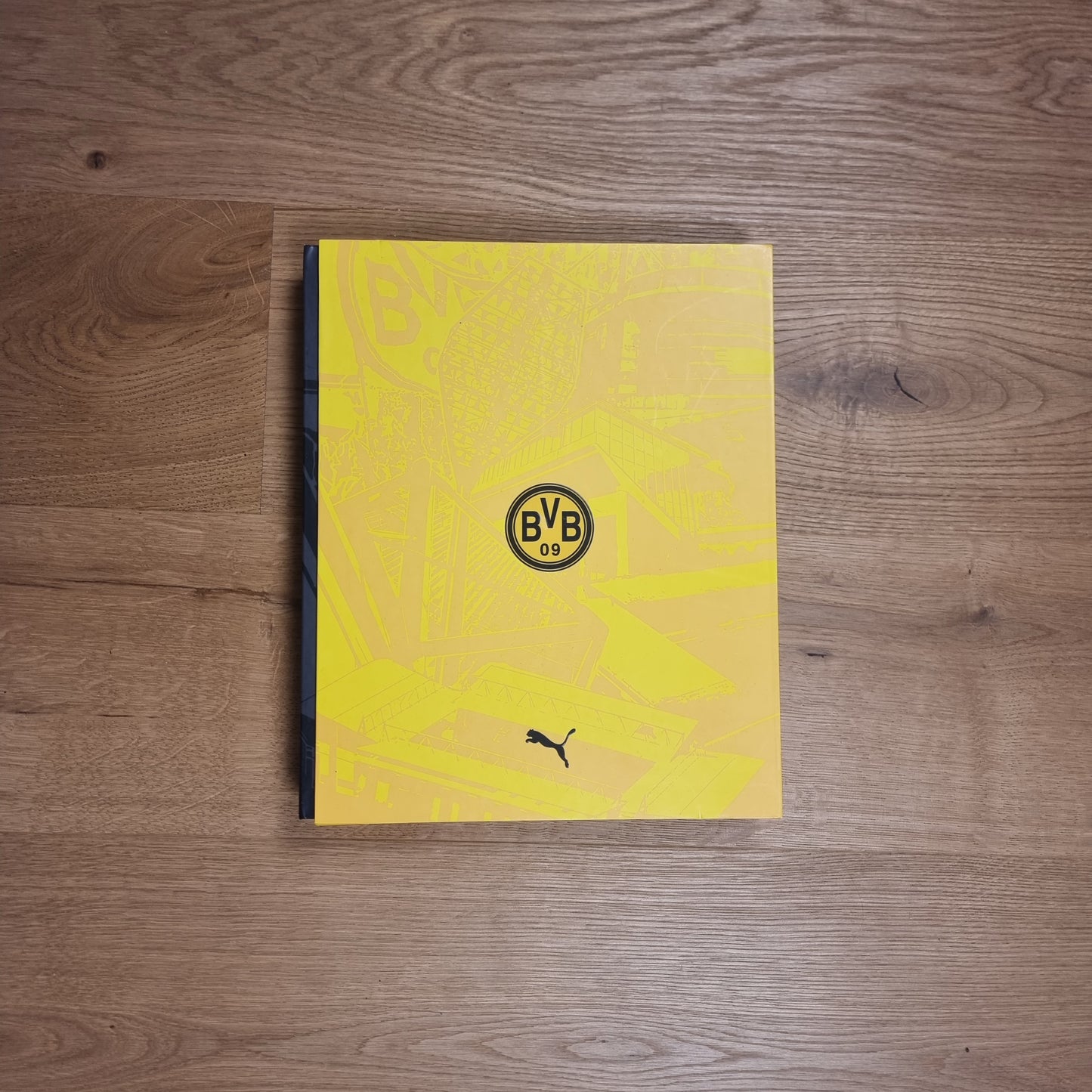 Trikot mit Box - Borussia Dortmund (BVB) - 2023/2024 - XXL - Sonder