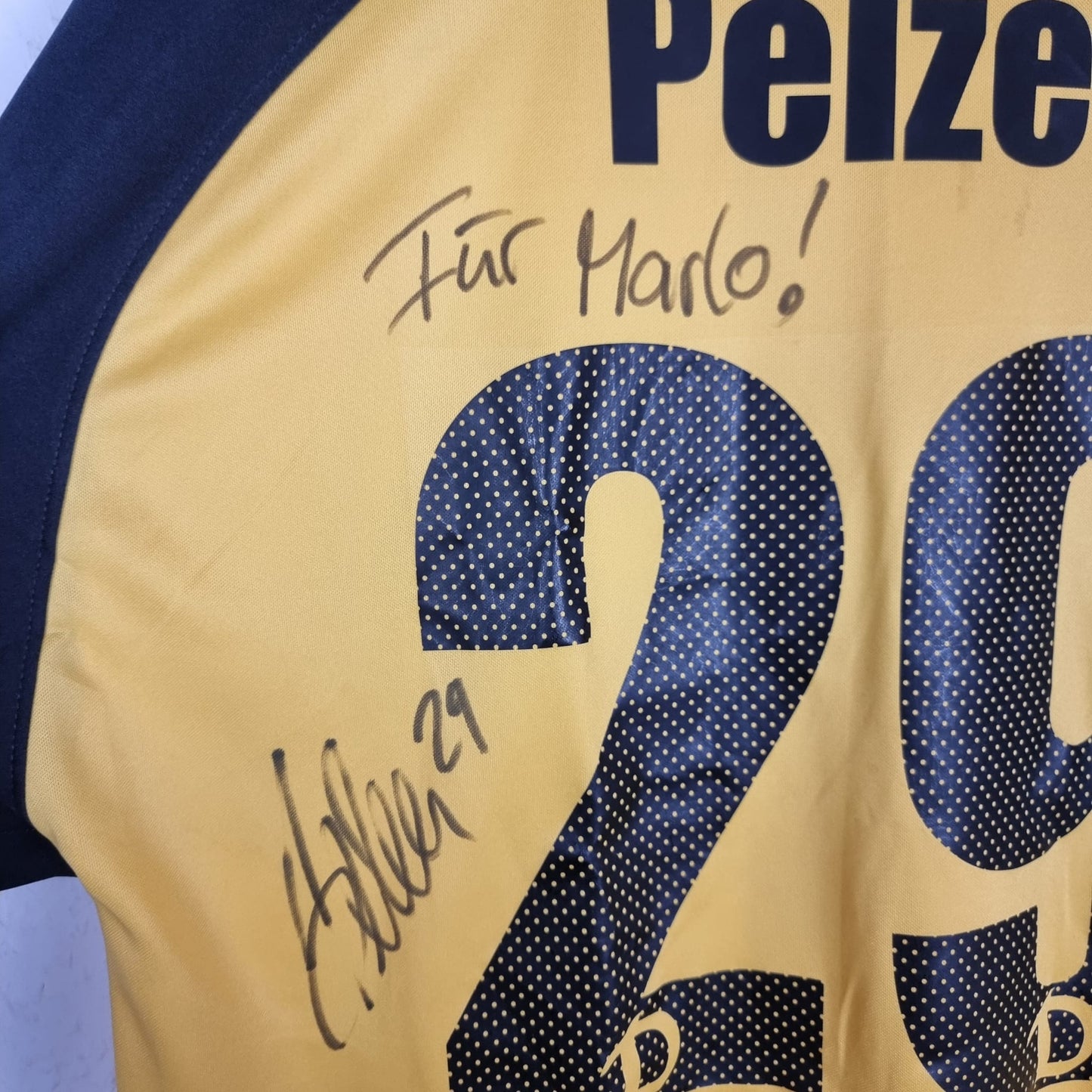 Trikot - Dynamo Dresden - Sebastian Pelzer - 2006/2007 - L - Heim - matchworn