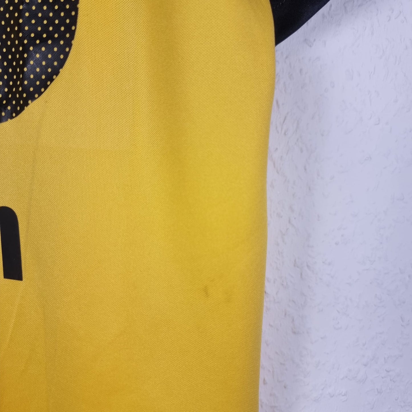 Trikot - Dynamo Dresden - Sebastian Pelzer - 2006/2007 - L - Heim - matchworn