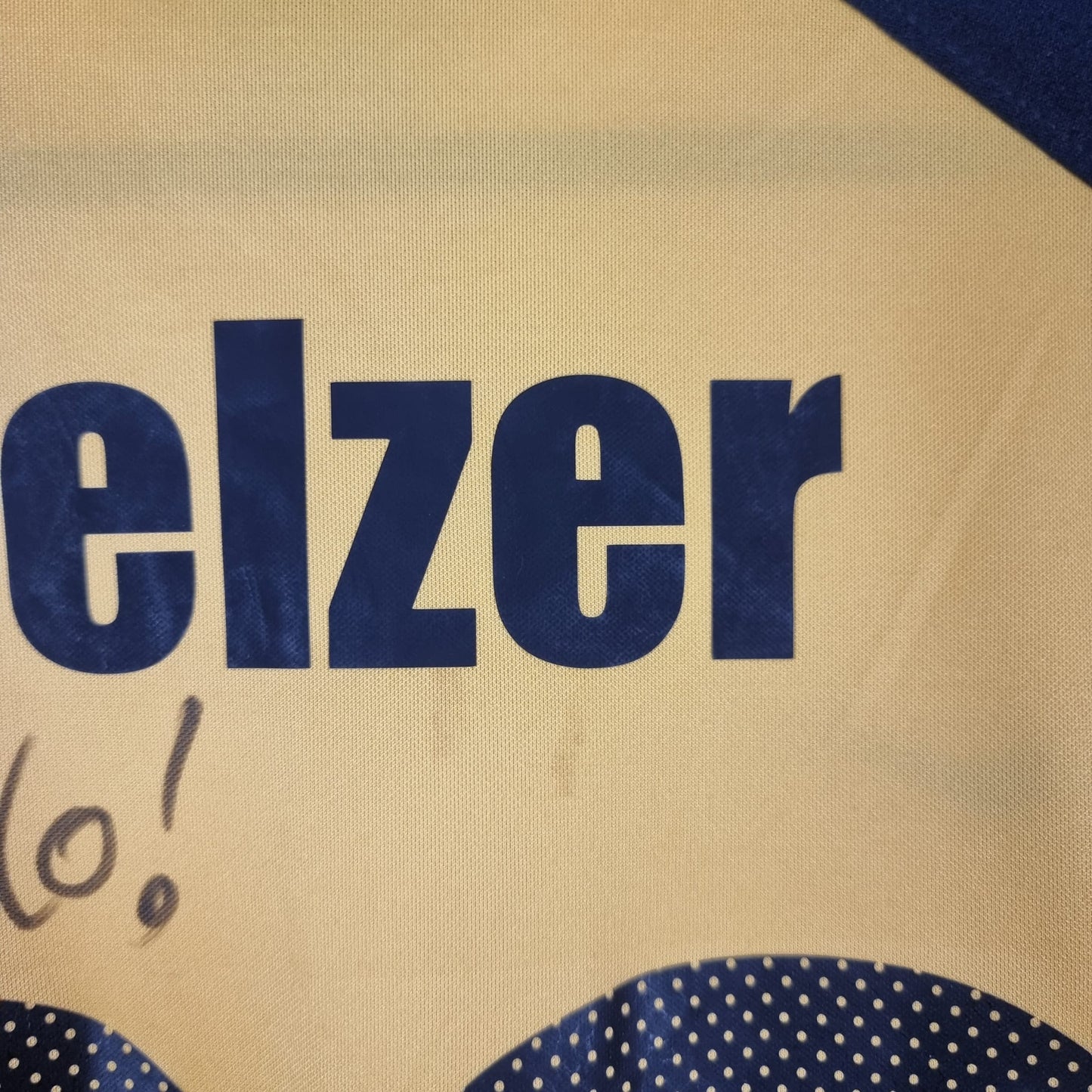 Trikot - Dynamo Dresden - Sebastian Pelzer - 2006/2007 - L - Heim - matchworn